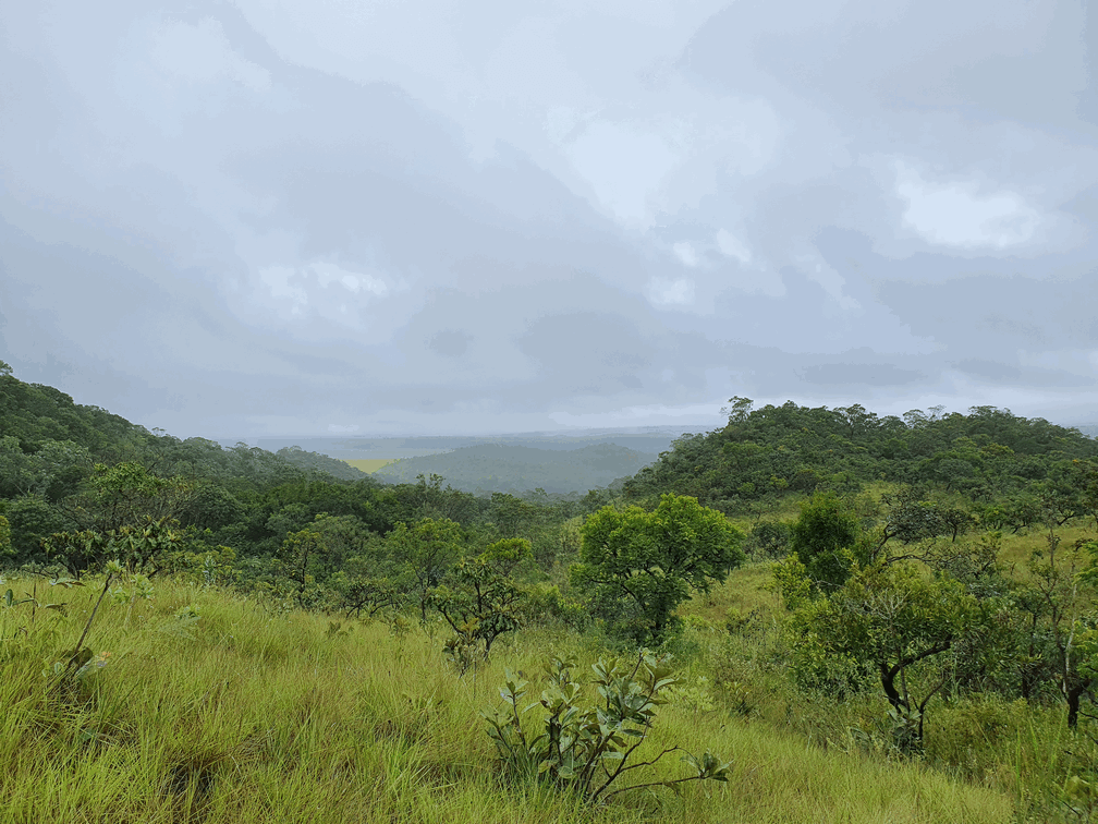 Parque Ecológico dos Pequizeiros em Planaltina